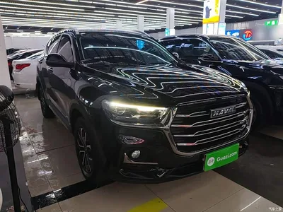 2021 Haval H6 National Trend Edition 1.5T Automatic Urban Edition, фото 4, лот 10285553