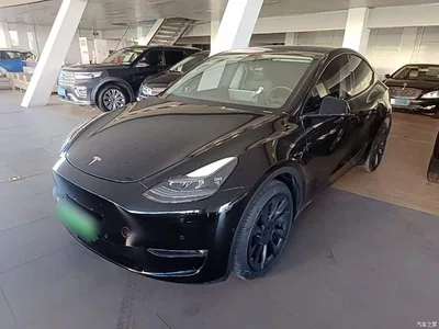 2021 Tesla Model Y Model Long Range AWD, фото 1, лот 11565720