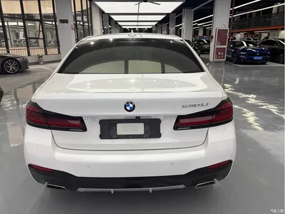 2021 BMW 5 Series 530Li Leading M Sport Package, фото 3, лот 11474337
