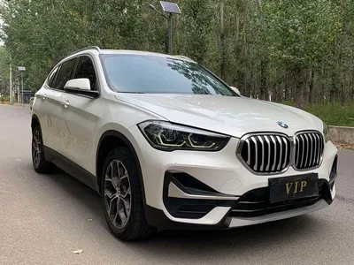2020 BMW X1 sDrive25Li Leading Model, фото 3, лот 11189328