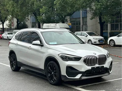 2021 BMW X1 sDrive20Li Fashion, фото 3, лот 11548524