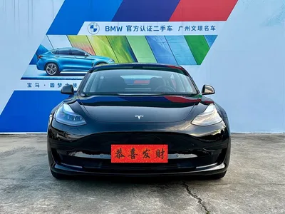 2021 Tesla Model 3 Standard Range Rear-Wheel Drive Upgrade 3D6, фото 2, лот 10403180