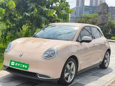 2021 Ora Good Cat 400km Standard Range Venus Edition (LFP), фото 1, лот 10447802