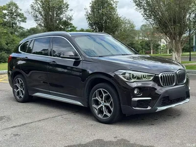 2019 BMW X1 xDrive20Li Premium Model, фото 4, лот 10467443