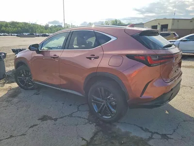 2025 LEXUS NX 450H+ BASE, фото 2, лот 10904543