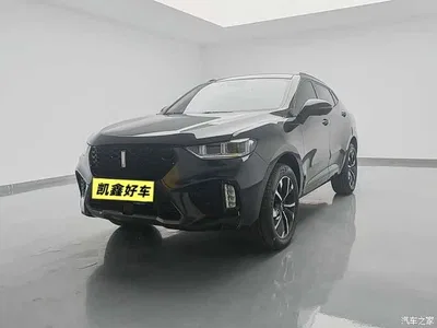 2019 WEY VV5 Upgrade 2.0T 4WD Flagship China V, фото 1, лот 10451326
