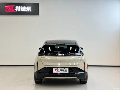 2026 ZEEKR X Model Five-Seater Rear-Wheel Drive Version, фото 4, лот 10291495