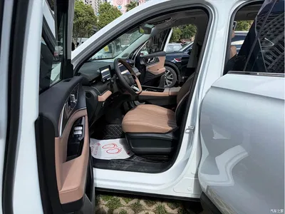 2024 Chery Tiggo 8L 2.0T 2WD Premium 5-seater, фото 4, лот 10333110