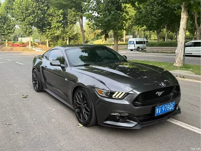 2016 Ford Mustang 2.3T Performance Edition, фото 3, лот 10394474