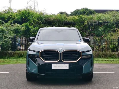 2023 BMW XM Model Base, фото 2, лот 11409317