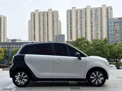 2021 Ora Black Cat 351km Standard Model, фото 4, лот 10330988