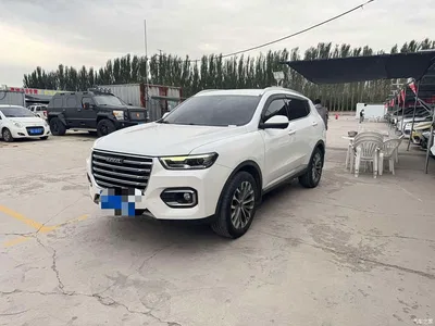 2020 Haval H6 1.5GDIT Automatic Platinum Champion Edition, фото 1, лот 11248275