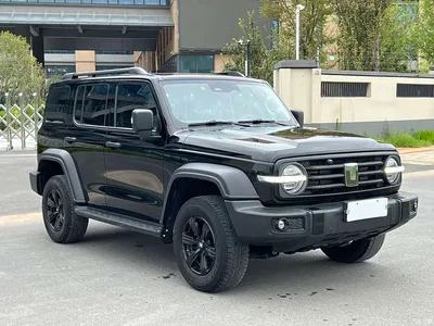 2024 Tank 300 Model 2.0T Challenger, фото 3, лот 10445687