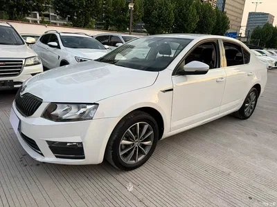2017 Škoda Octavia 1.6L Automatic Pioneer Edition, фото 1, лот 10348818