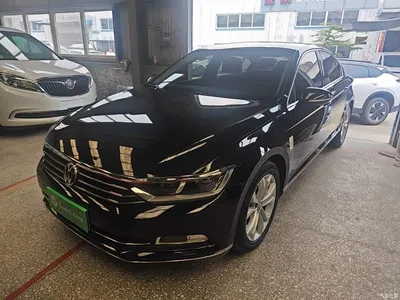 2019 Volkswagen Magotan 330TSI DSG Luxury China V, фото 2, лот 10437895