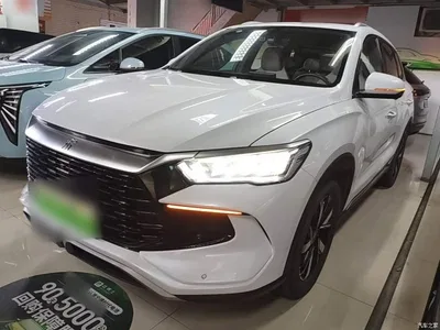 2024 BYD Song Pro New Energy Glory Edition DM-i 71KM Pilot, фото 2, лот 11140707