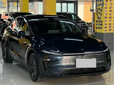 2025 Tesla Model Y Model Rear-Wheel Drive Launch Edition, фото 3, лот 10455253