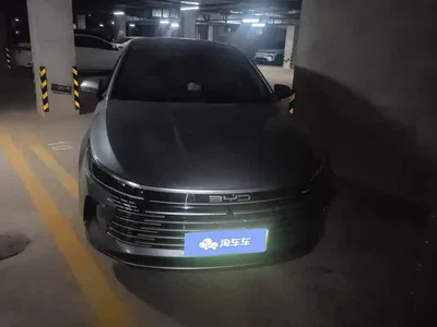 2024 BYD Destroyer 05 Glory Edition DM-i 55KM Luxury, фото 2, лот 10267751