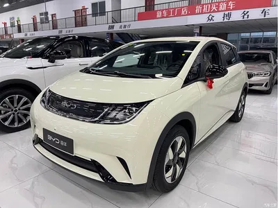 2025 BYD Dolphin 420km Freedom Edition, фото 1, лот 10444611