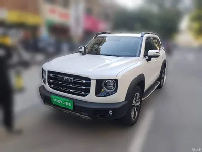 2021 Haval Big Dog 1.5T DCT 2WD Labrador Edition, фото 1, лот 11175797