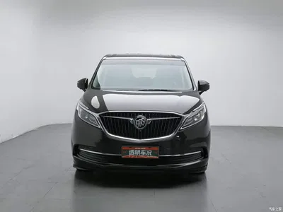 2017 Buick GL8, фото 3, лот 10245635