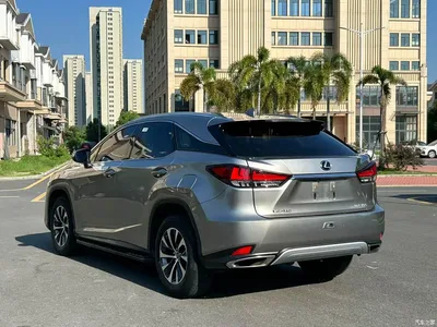 2020 Lexus RX Facelift 300 2WD Elite Edition, фото 4, лот 10316960