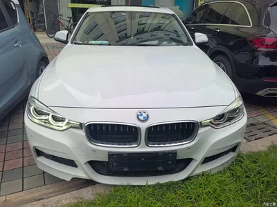 2019 BMW 3 Series 320Li M Sport Package, фото 3, лот 10457538