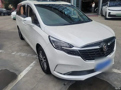 2021 Buick GL8 ES Landlord 653T Premium, фото 4, лот 11189531