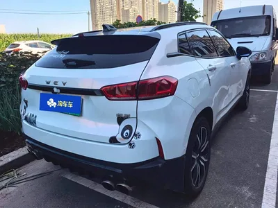 2018 WEY P8 2.0T Flagship Model, фото 3, лот 11152189
