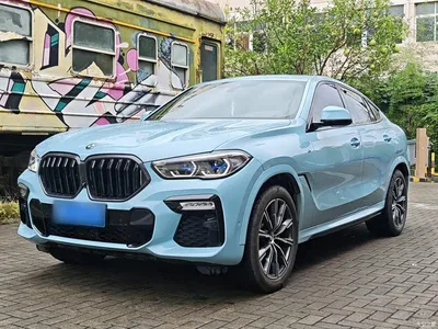 2020 BMW X6 xDrive30i M Sport Package, фото 1, лот 11242880