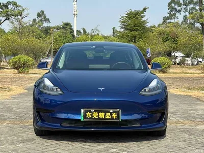 2019 Tesla Model 3 (Import) Standard Range RWD Upgraded Edition, фото 2, лот 10351799