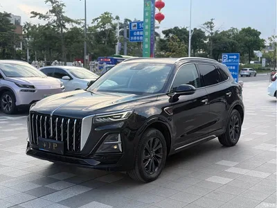 2023 Hongqi HS5 2.0T Flag Enjoy Pro Edition, фото 1, лот 10288368