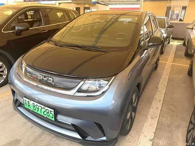 2024 BYD Dolphin Glory Edition 401km Knight Edition, фото 1, лот 10399554