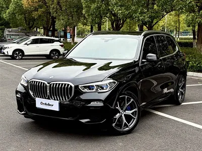 2019 BMW X5 (Import) xDrive40i Exclusive M Sport Package, фото 1, лот 10624882