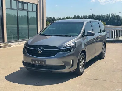 2020 Buick GL8 Model ES Landglory 653T Comfort, фото 1, лот 10254340