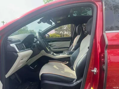 2021 BYD Song PLUS PHEV DM-i 110KM Flagship PLUS, фото 4, лот 10273408