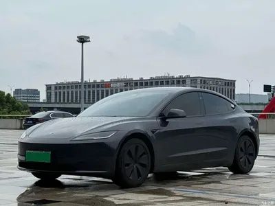2025 Tesla Model 3 Model Rear-Wheel Drive Edition, фото 1, лот 11451874