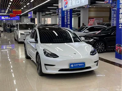 2022 Tesla Model 3 Model Rear-Wheel Drive Version, фото 3, лот 11545115