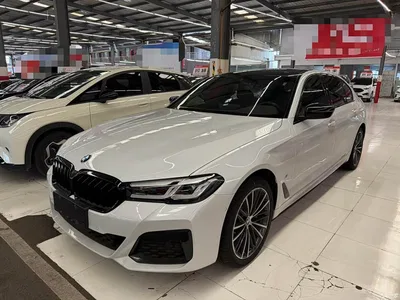 2022 BMW 5 Series 530Li Leading M Sport Package, фото 1, лот 11212487