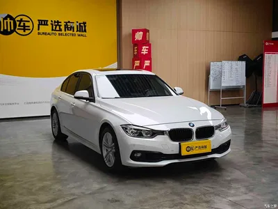 2017 BMW 3 Series 318i Fashion, фото 3, лот 10481472