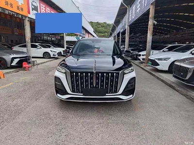 2023 Hongqi HS5 2.0T Flag Enjoy Pro Edition, фото 2, лот 10288668