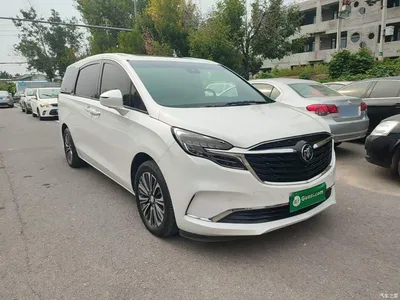 2021 Buick GL8 ES Landlord 653T Luxury, фото 4, лот 10764920