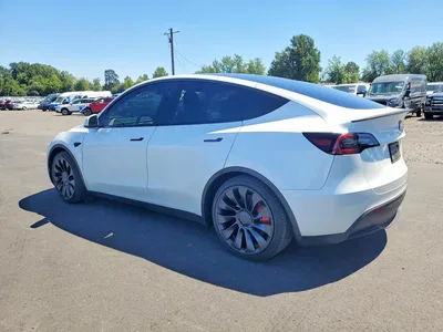 2025 TESLA MODEL Y, фото 2, лот 10666790