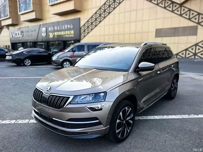 2022 Škoda Karoq TSI280 Luxury Edition, фото 1, лот 10348350