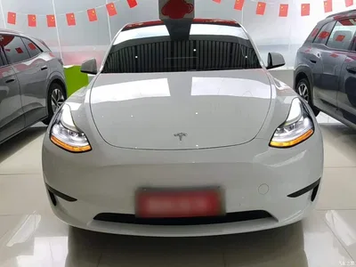 2023 Tesla Model Y Rear-Wheel Drive Edition, фото 3, лот 11220603