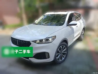 2018 WEY VV6 2.0T 2WD Super Luxury China V, фото 1, лот 10452310