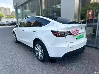 2022 Tesla Model Y Rear-Wheel Drive Version, фото 2, лот 10442924