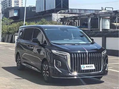 2023 Hongqi HQ9 2.0T Smart Connect Flag Enjoy Edition, фото 3, лот 10448343