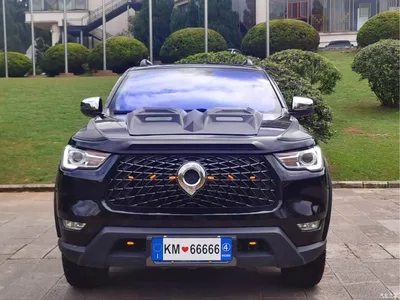 2021 Great Wall Pao 2.0T Commercial Edition Manual Diesel 4WD Elite Long Box GW4D20M, фото 2, лот 11516548