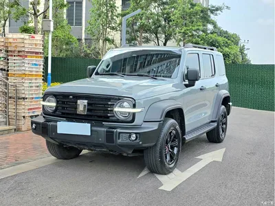 2023 Tank 300 Off-Road Edition 2.0T Conqueror, фото 1, лот 10344689